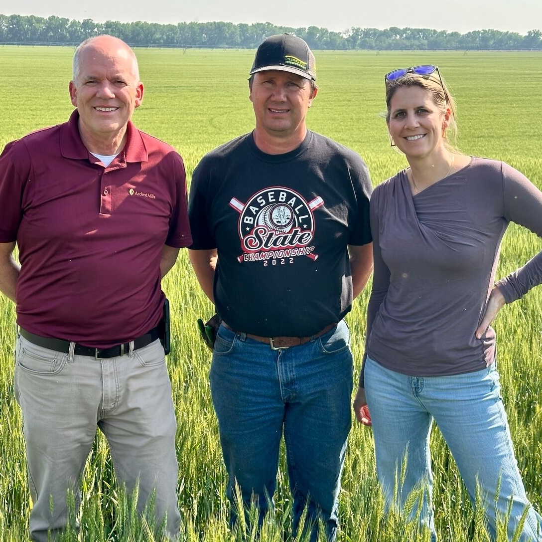 Webready Large JPEG Image (5)[41] (1)