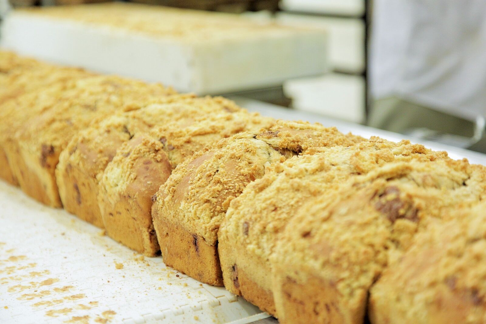 Innovative Bakery Resources Enrobed Bread